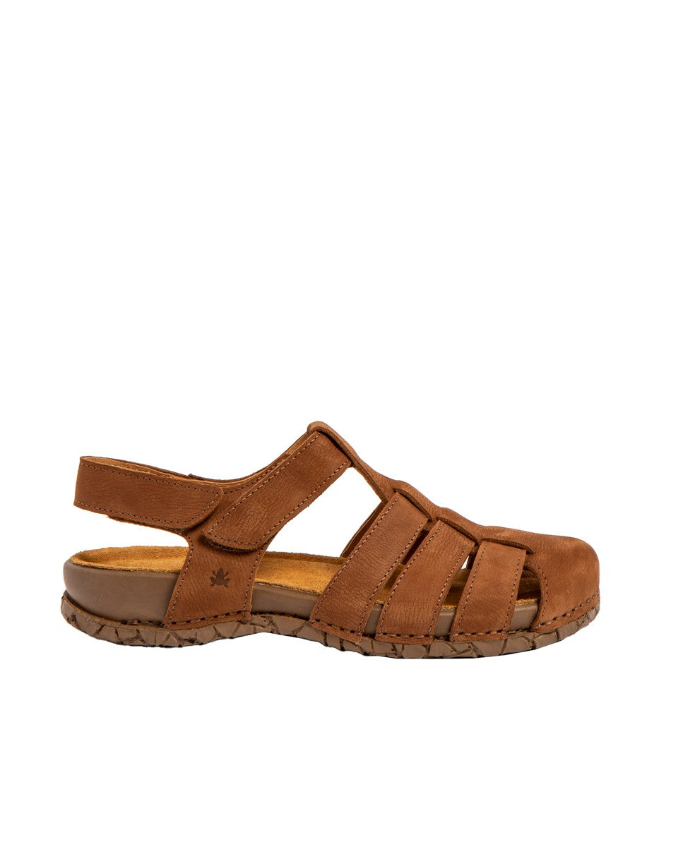 gid://shopify/Product/15700130496844_1