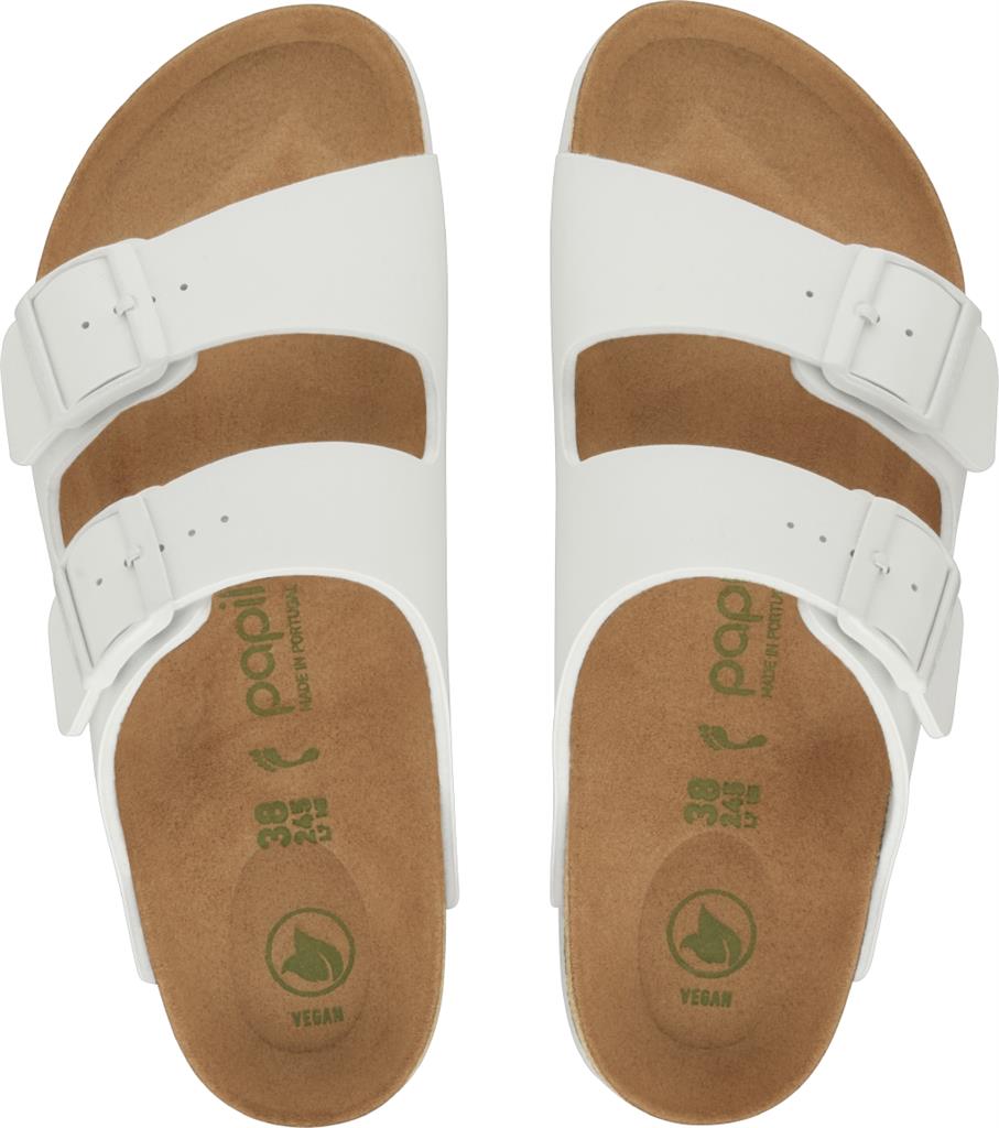 gid://shopify/Product/15943250510156_2