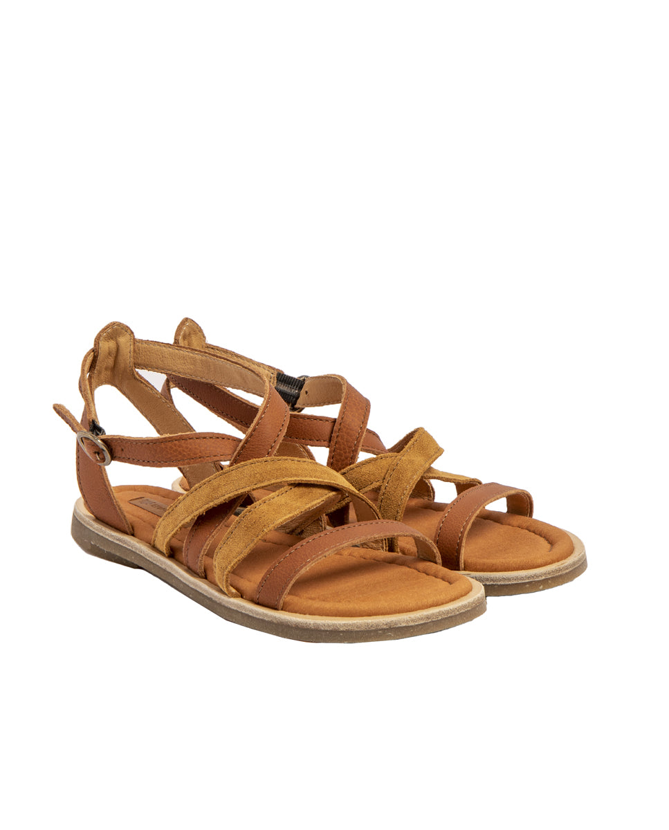 gid://shopify/Product/15700051919180_7