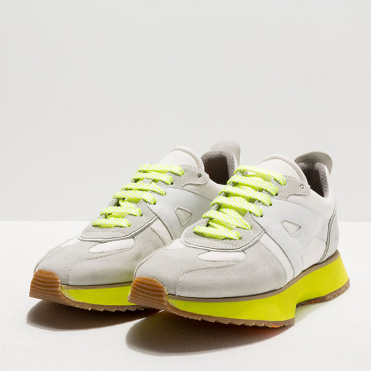 gid://shopify/Product/16171520524620_2