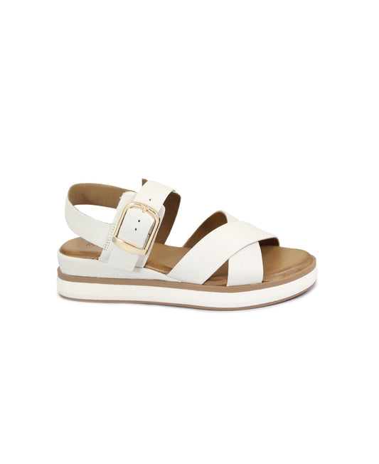 gid://shopify/Product/15858961416524_1
