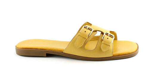 gid://shopify/Product/15739678490956_1