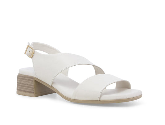 gid://shopify/Product/15761214177612_2