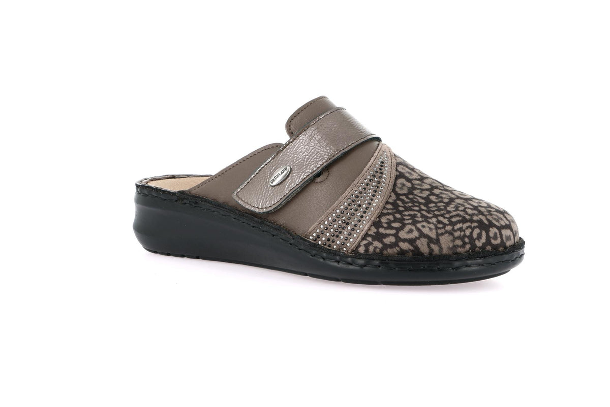 gid://shopify/Product/16106790879564_58822001721676