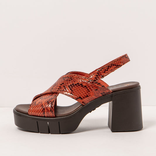 gid://shopify/Product/15693565919564_1