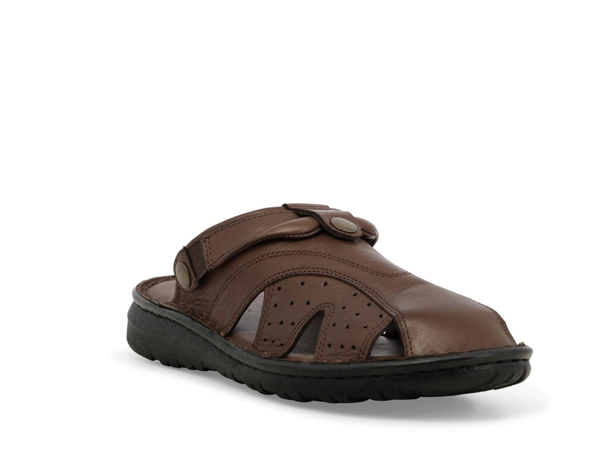 gid://shopify/Product/15761232134476_2