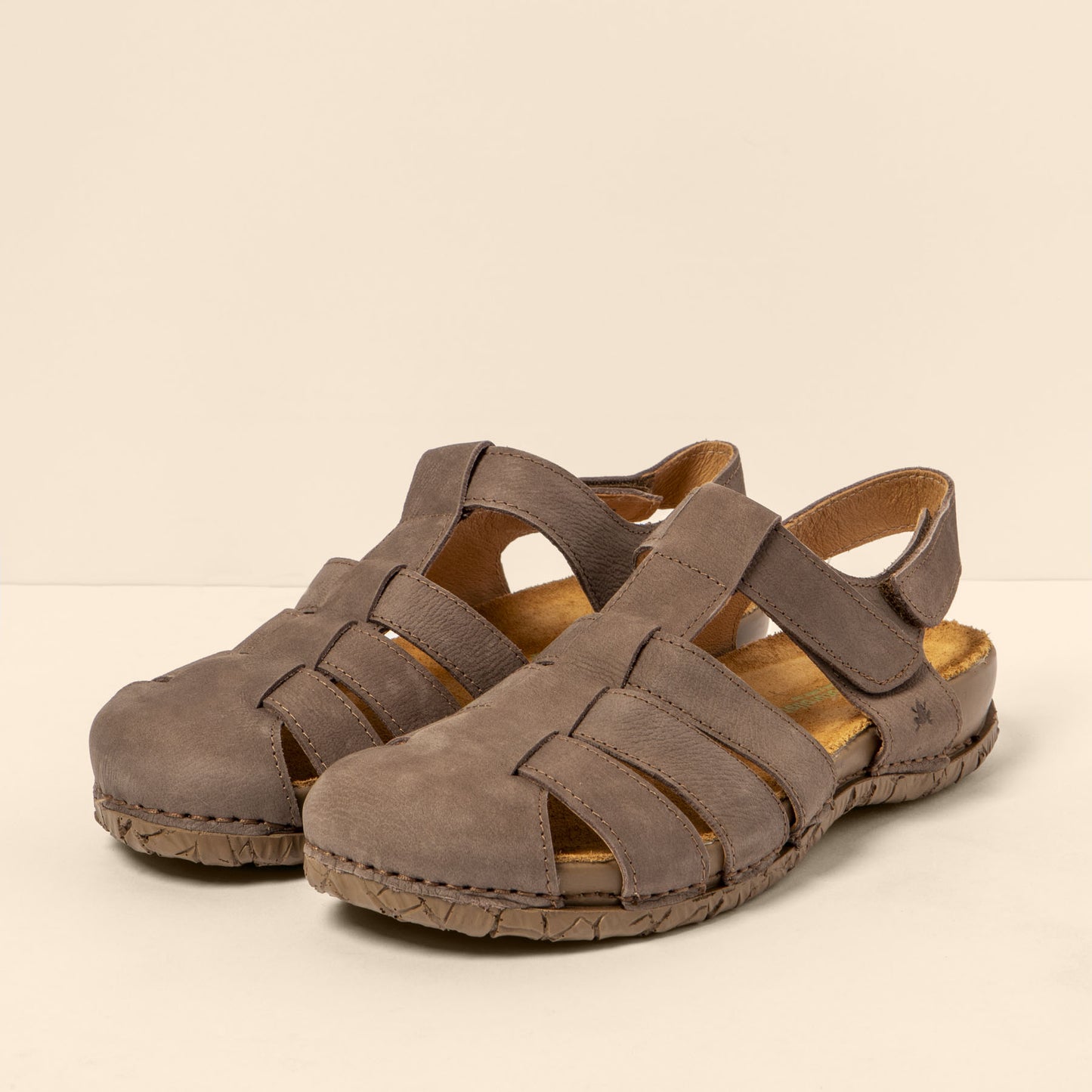 gid://shopify/Product/15700132004172_5
