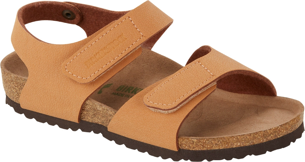 gid://shopify/Product/15943296385356_1