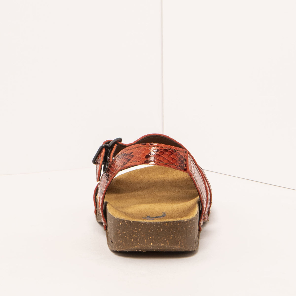 gid://shopify/Product/16171966431564_5