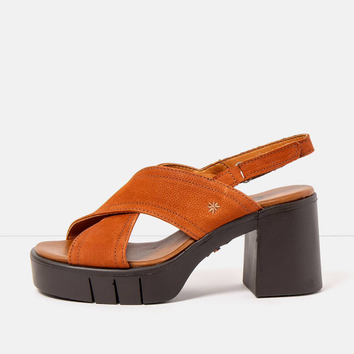 gid://shopify/Product/16173032767820_1