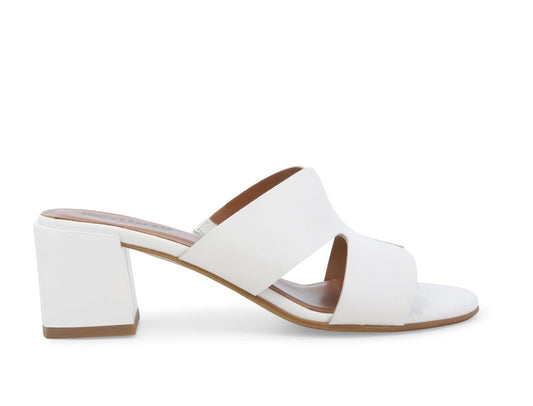 gid://shopify/Product/15686317965644_1