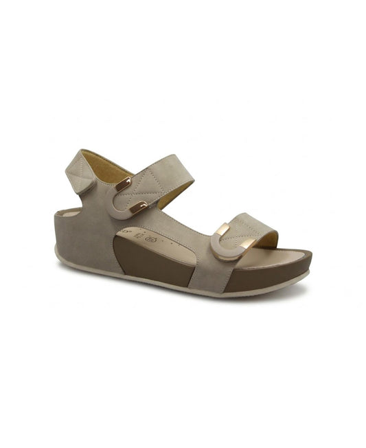gid://shopify/Product/15809506640204_1