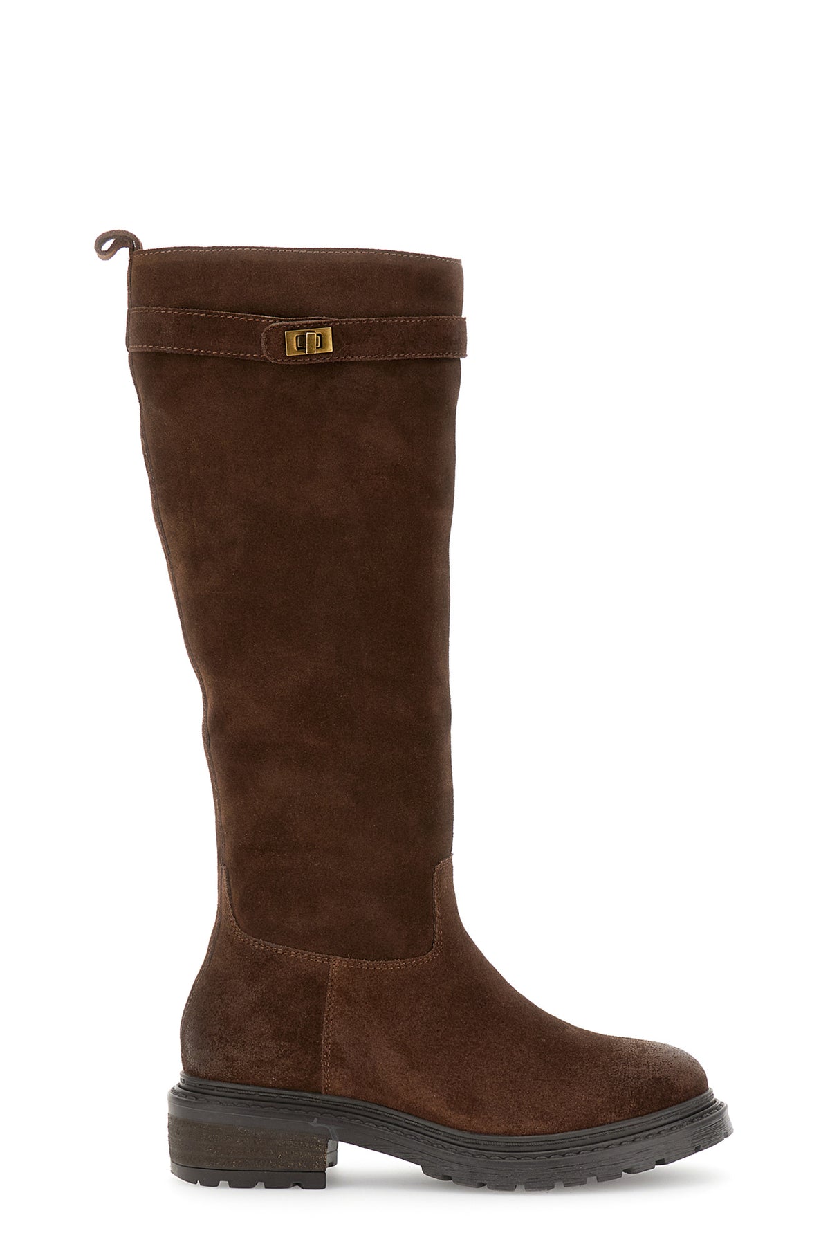 gid://shopify/Product/16176142090572_59122145886540