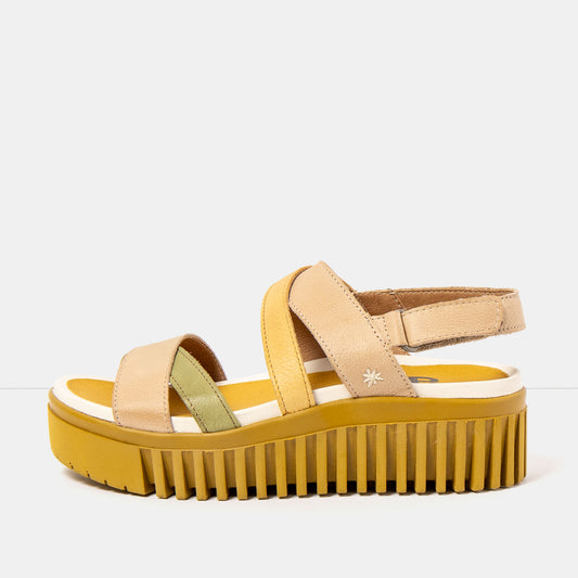 gid://shopify/Product/16172952191308_1