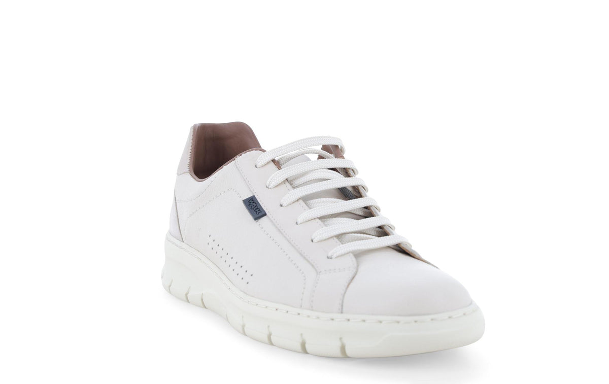 gid://shopify/Product/15761230856524_2