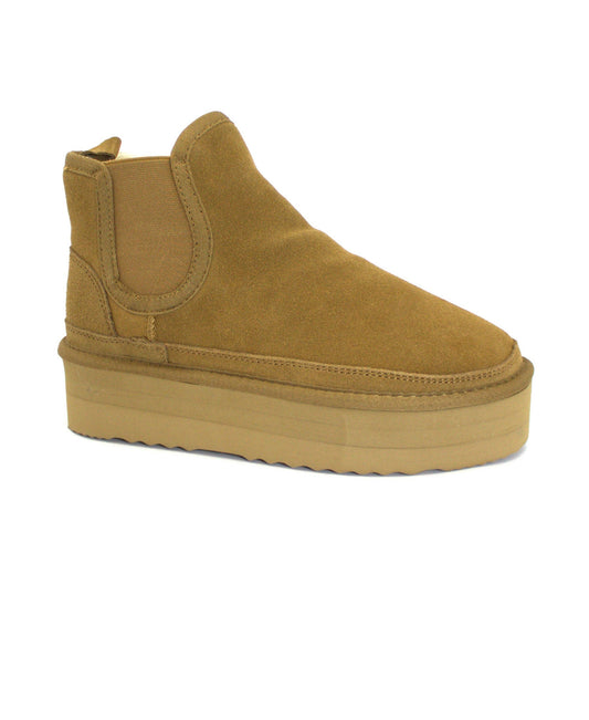 gid://shopify/Product/15740062204236_1