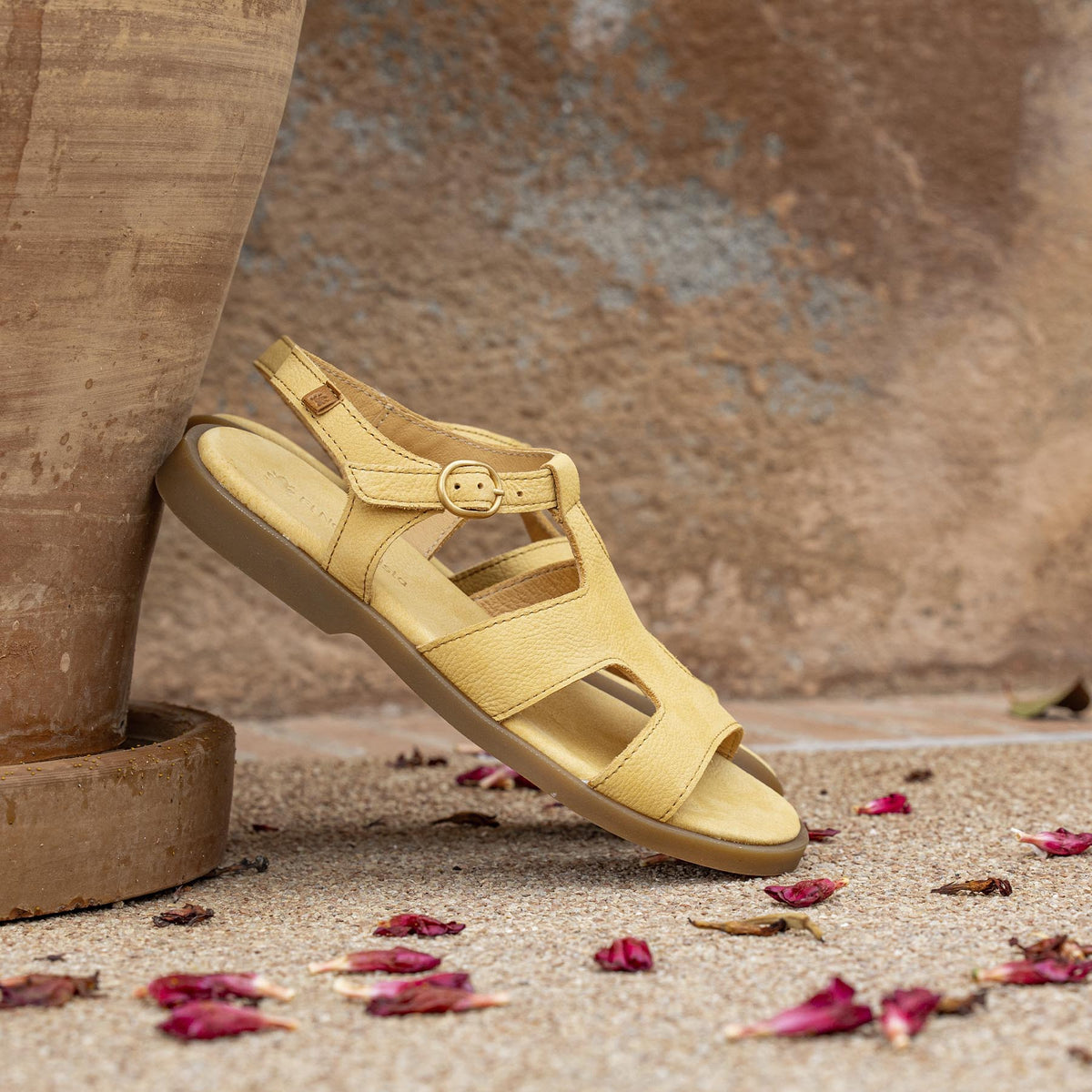 gid://shopify/Product/16124794077516_7