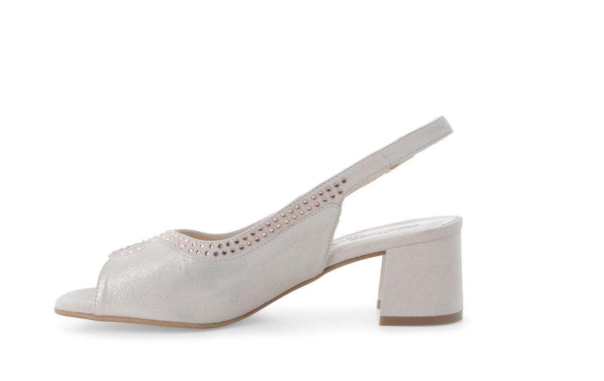 gid://shopify/Product/15761228595532_4