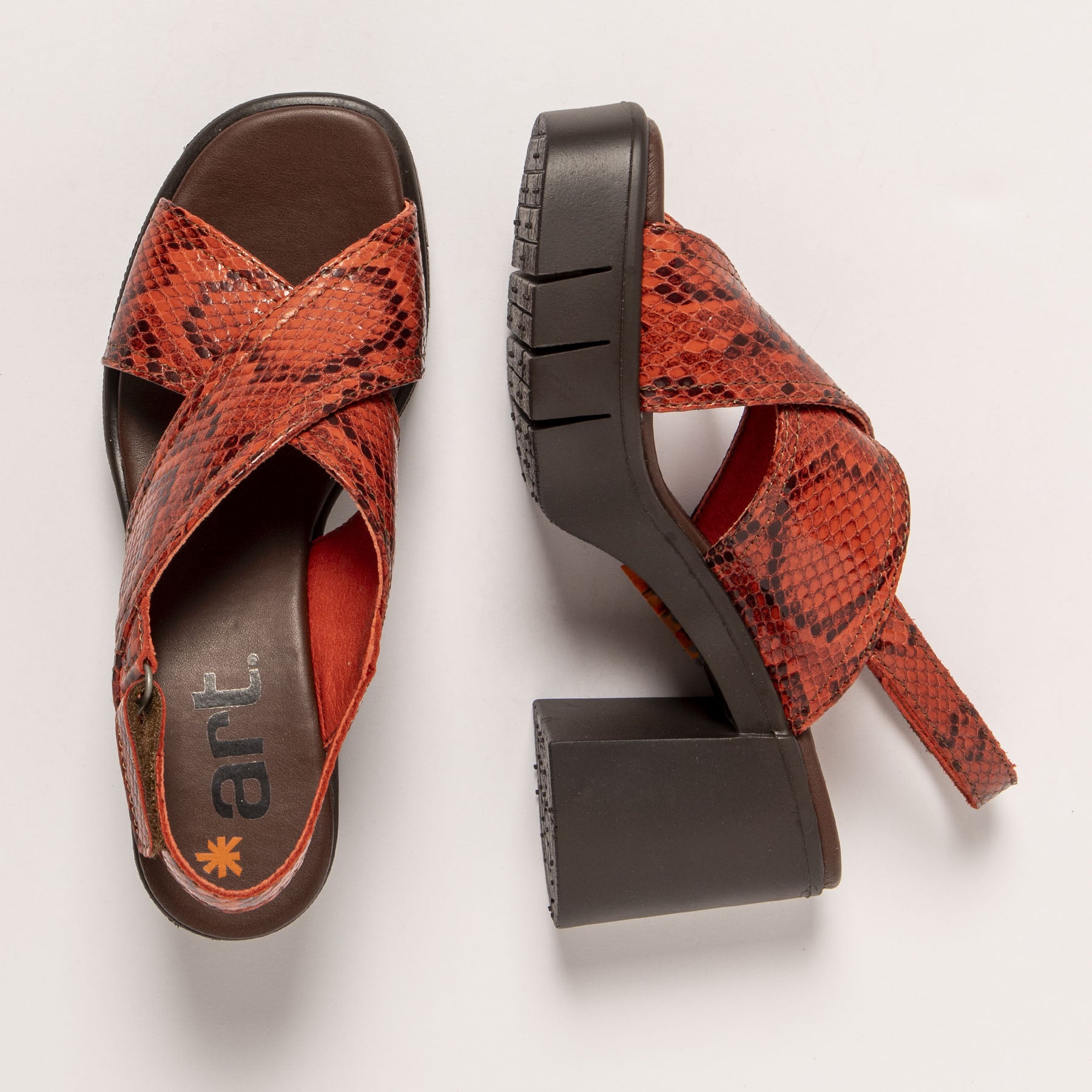 gid://shopify/Product/15693565919564_4