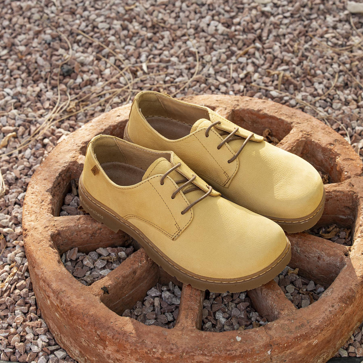 gid://shopify/Product/16124663267660_7