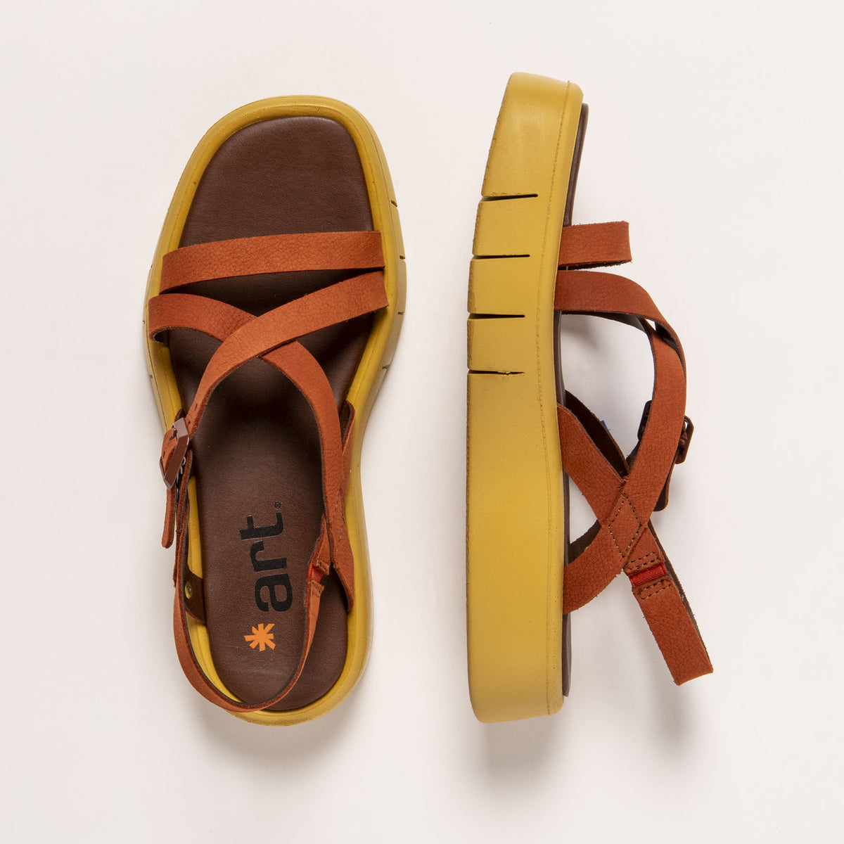 gid://shopify/Product/16172063359308_4