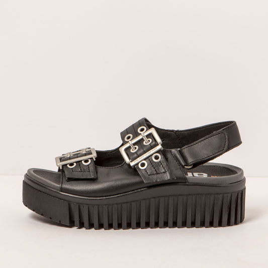 gid://shopify/Product/16172017385804_1