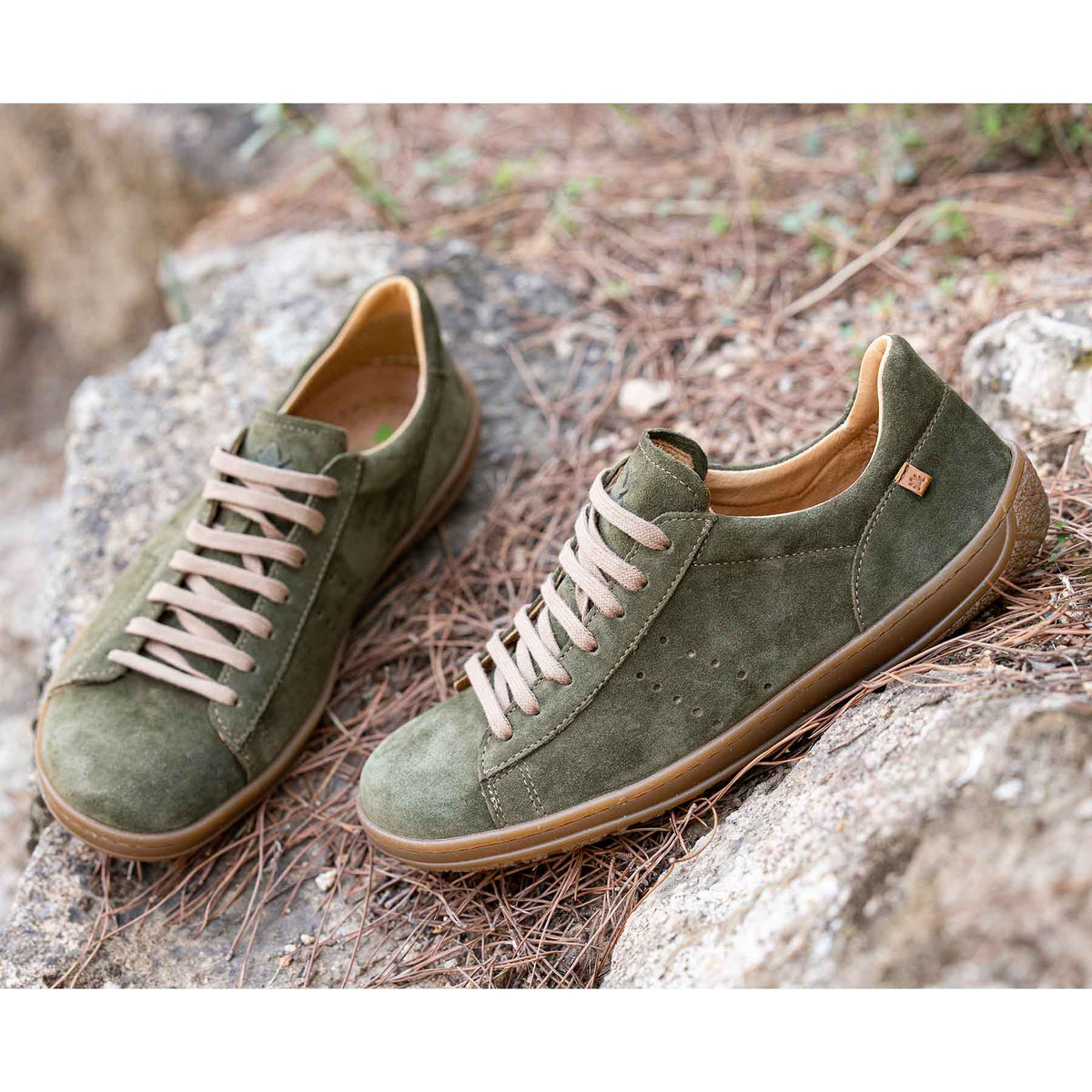 gid://shopify/Product/16124685680972_7