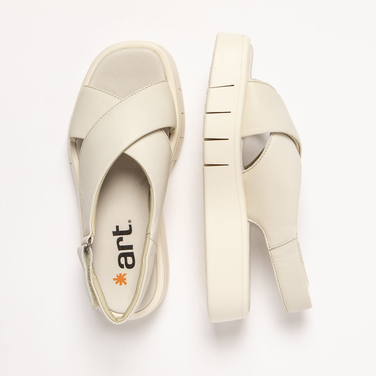 gid://shopify/Product/16171556405580_7