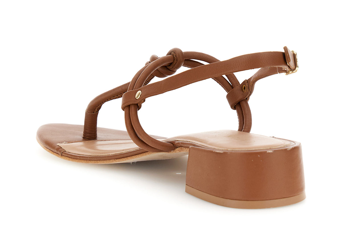 gid://shopify/Product/16122396213580_2