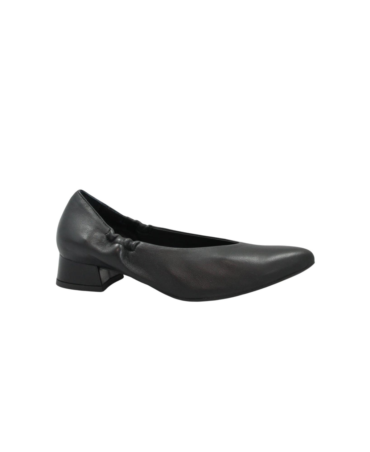 gid://shopify/Product/16091089174860_1
