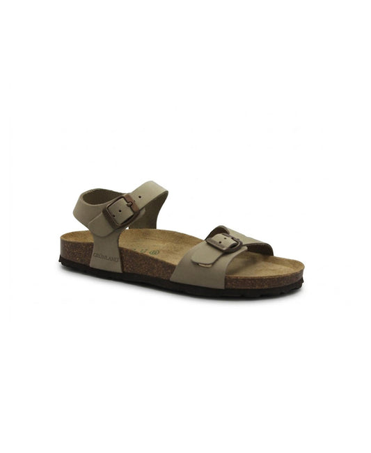 gid://shopify/Product/15809509425484_1