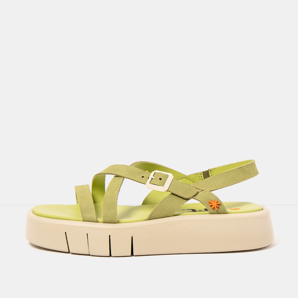 gid://shopify/Product/16172970901836_1