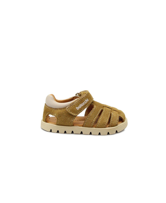 gid://shopify/Product/15738558841164_1
