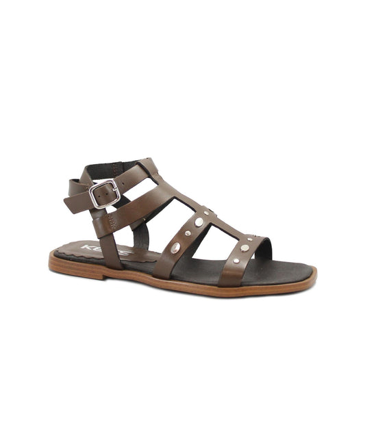 gid://shopify/Product/15738631553356_1