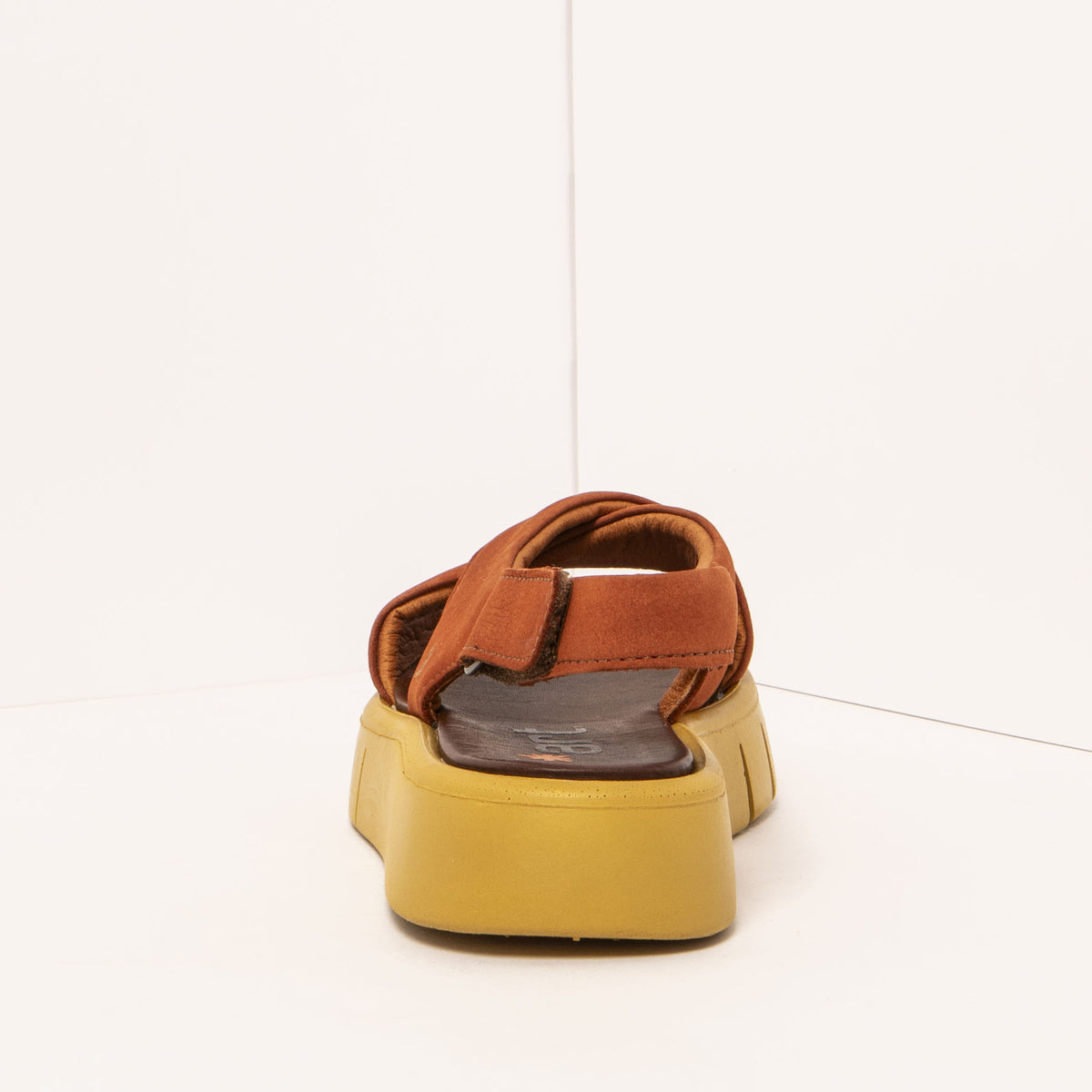 gid://shopify/Product/16172069716300_5
