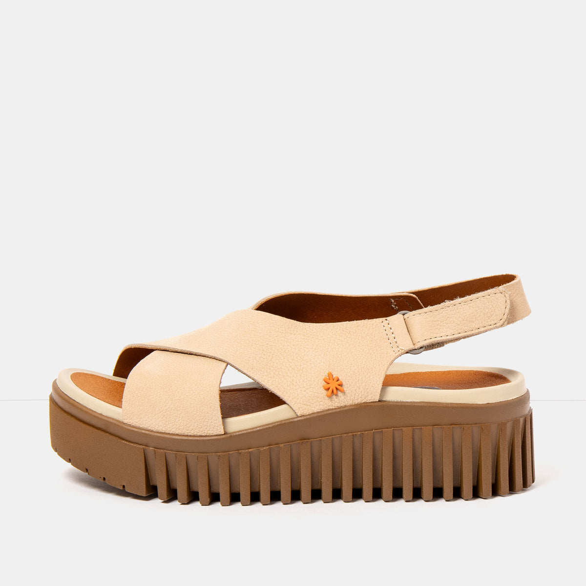 gid://shopify/Product/16172932006220_1