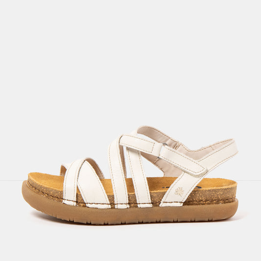 gid://shopify/Product/16172964806988_1