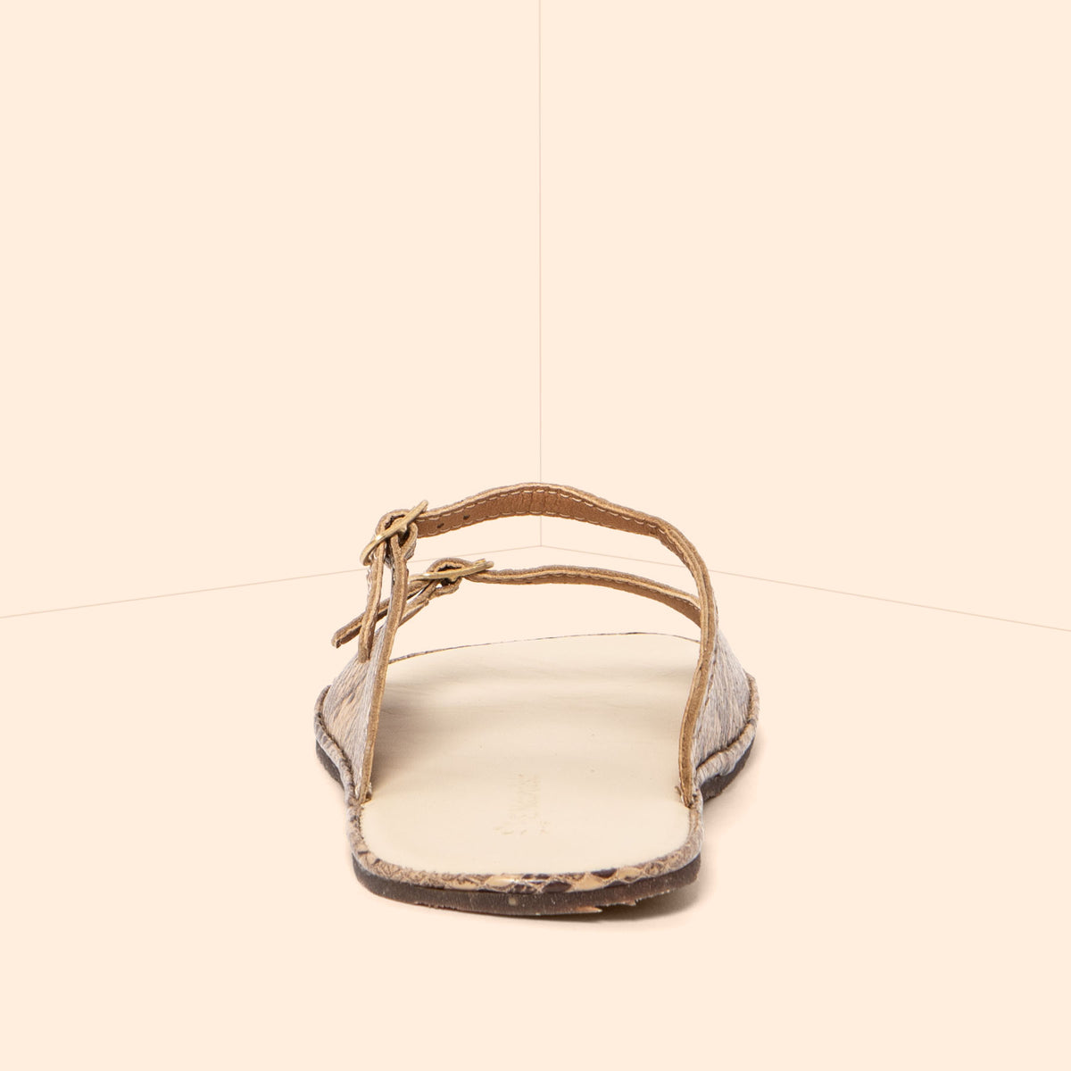 gid://shopify/Product/16124719661388_5