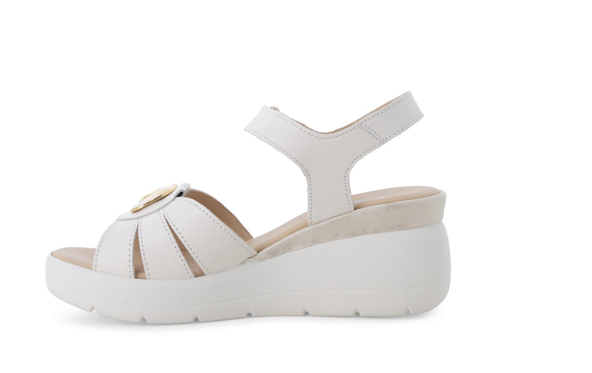 gid://shopify/Product/15761199857996_4