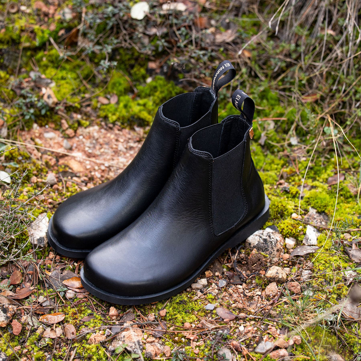 gid://shopify/Product/16124497953100_7