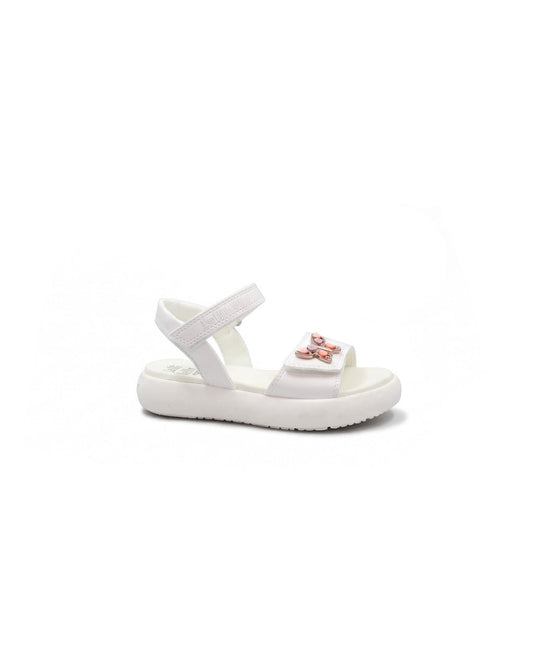 gid://shopify/Product/15859444384076_1