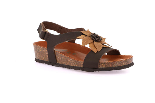 gid://shopify/Product/15755039310156_57521304174924