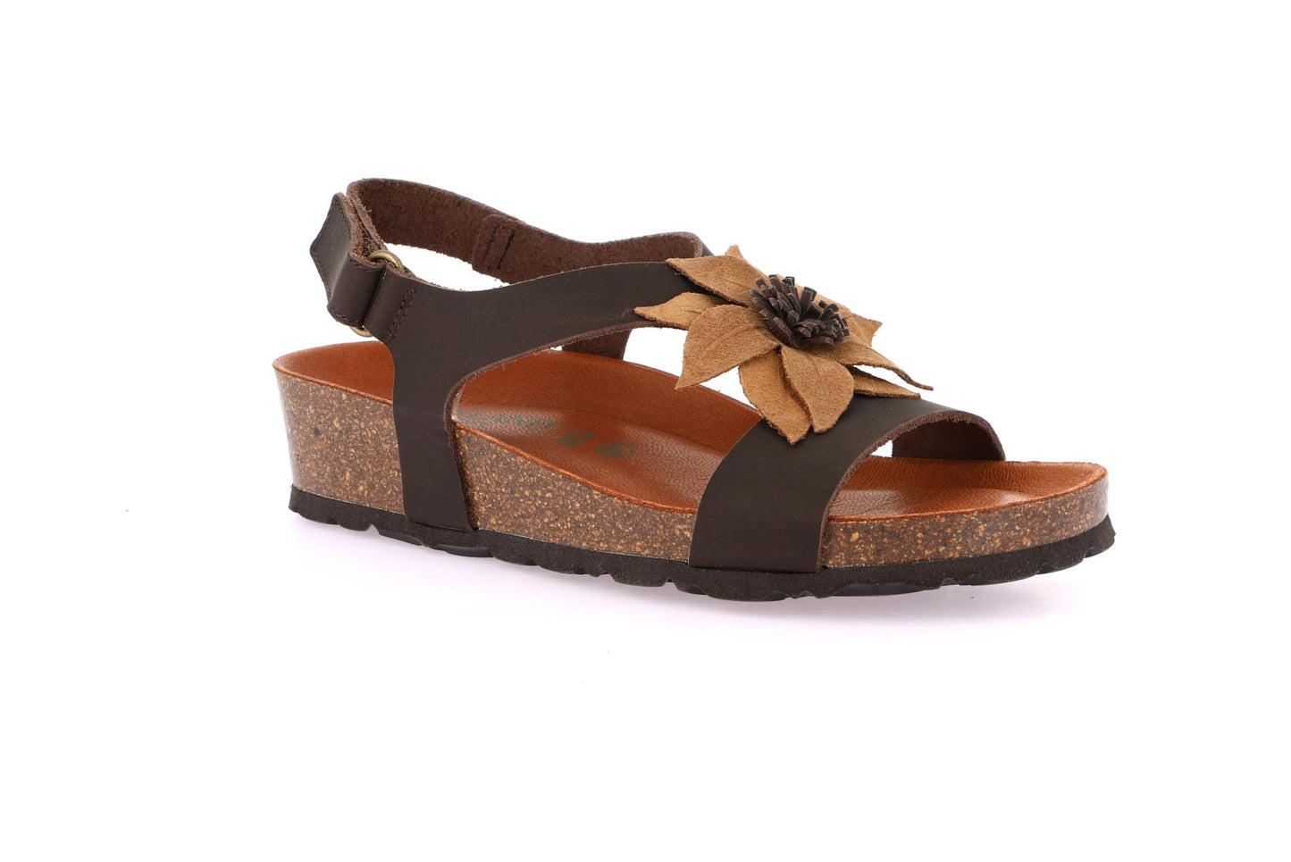 gid://shopify/Product/15755039310156_57521304174924