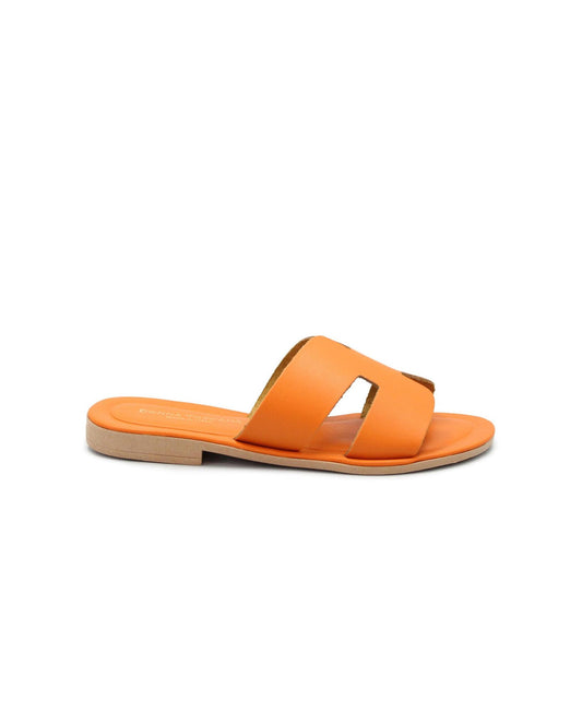 gid://shopify/Product/15738534232396_1