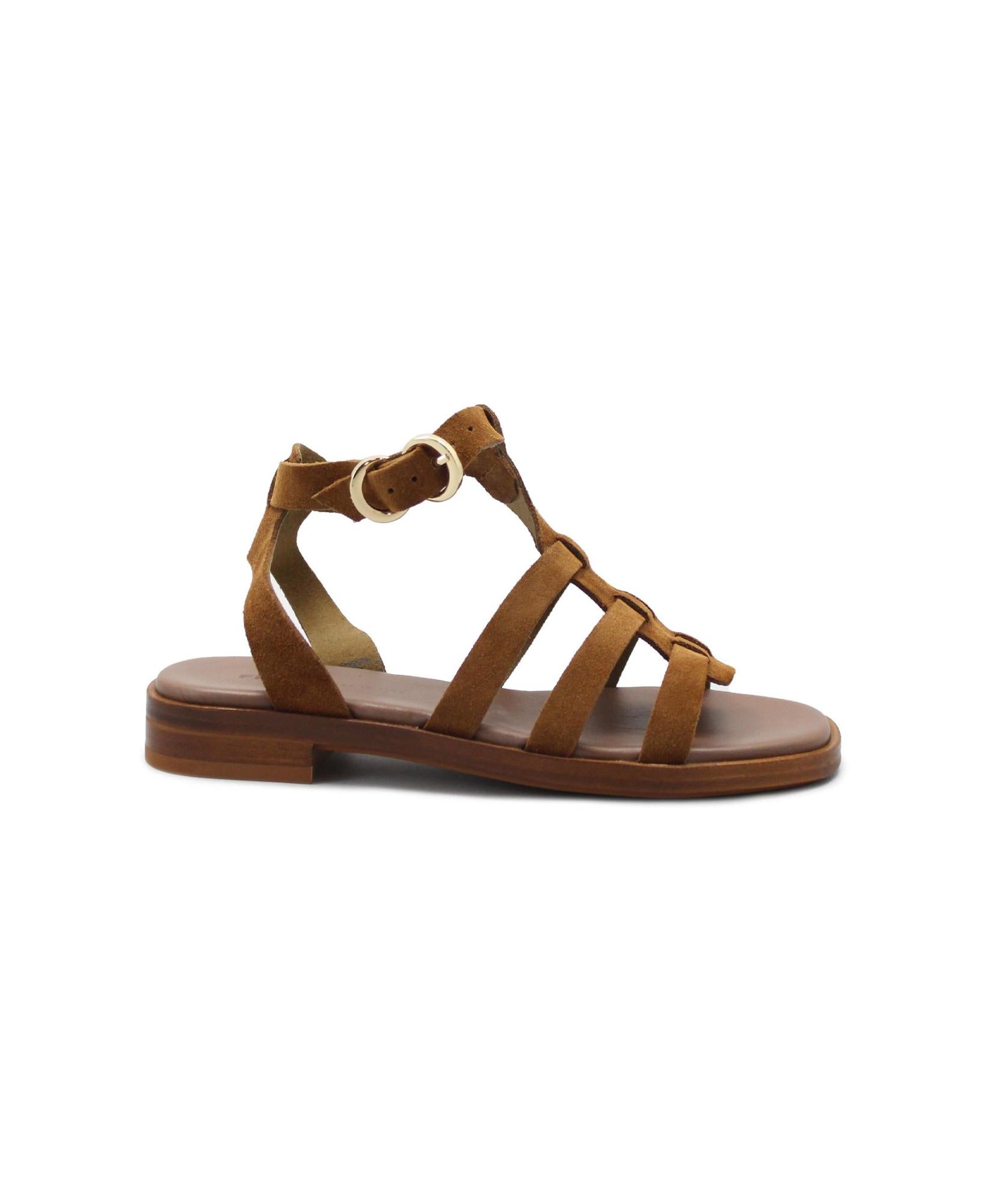 gid://shopify/Product/15738561462604_1