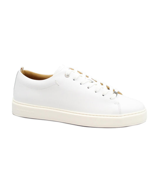 gid://shopify/Product/15738315866444_1