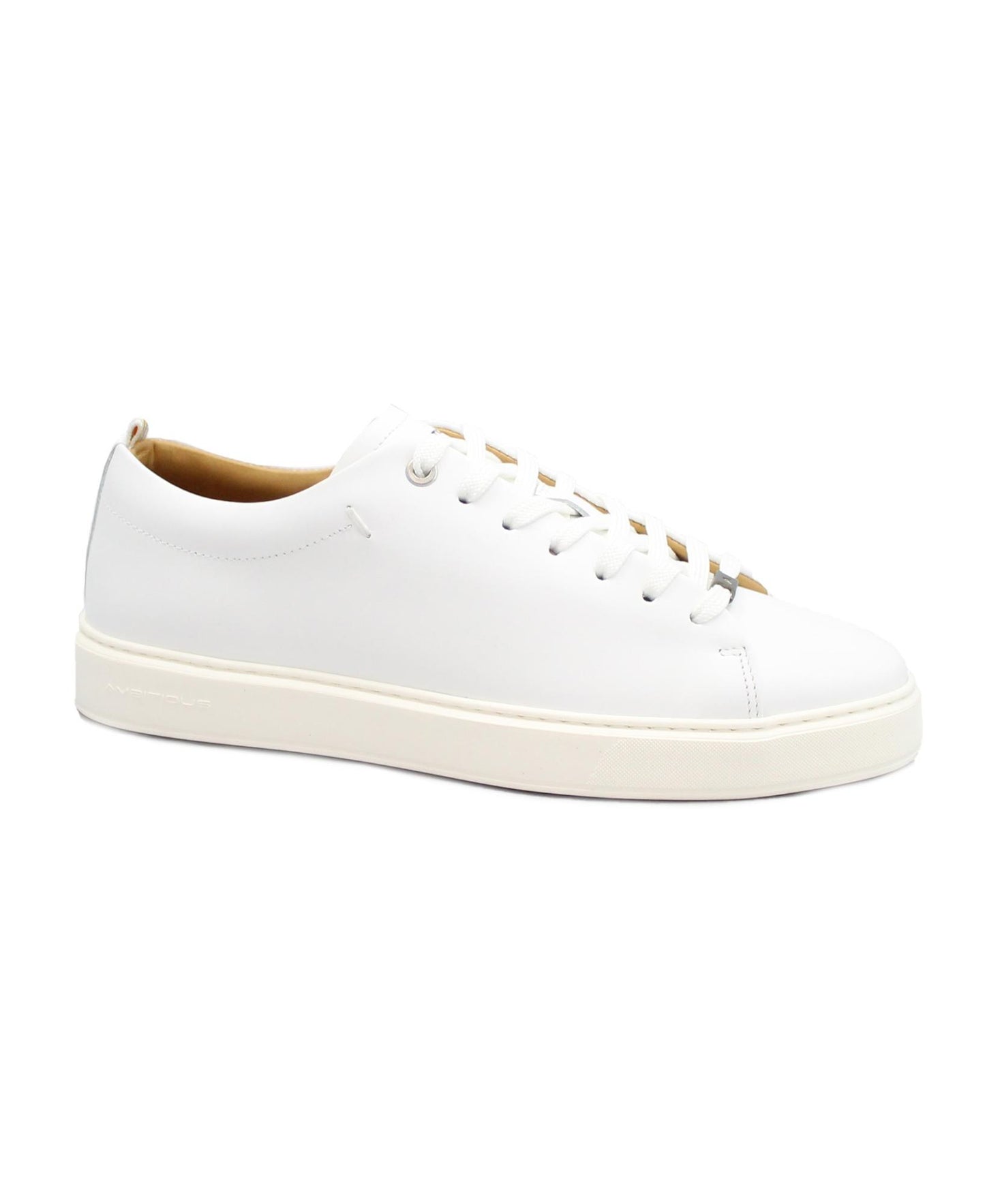 gid://shopify/Product/15738315866444_1
