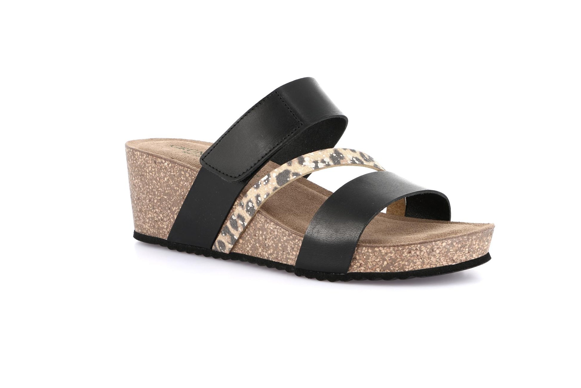gid://shopify/Product/15713380237644_57343941607756