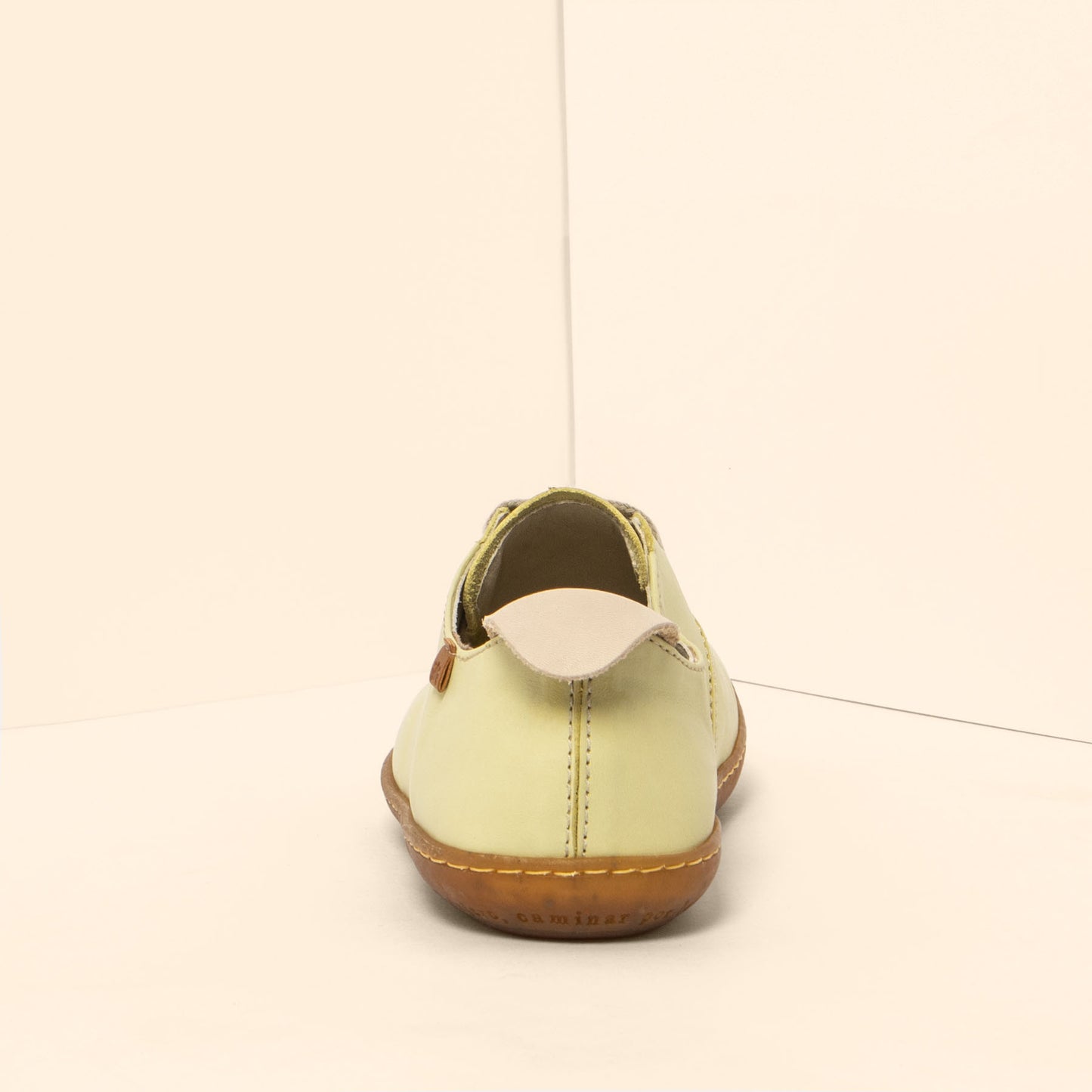 gid://shopify/Product/15700682506572_5