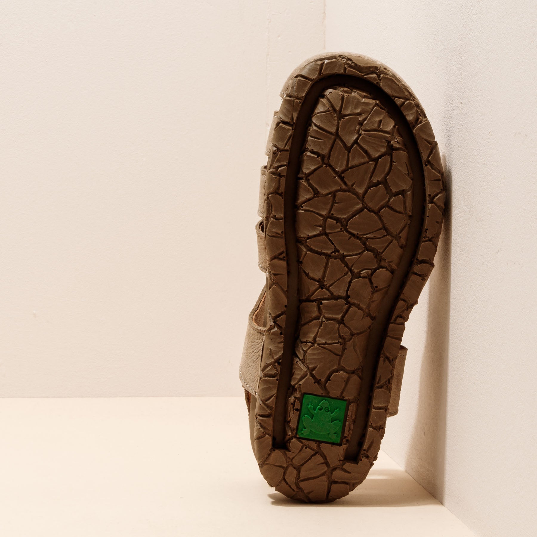 gid://shopify/Product/15700129939788_6